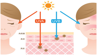 China,Cosmetic,Webinar,Free,Subscreen,Compliance,Requirements