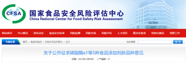 China,Food,Additive,Consultation,New