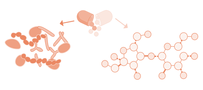 China,Food,Probiotic,Prebiotic,Synbiotic,Postbiotic